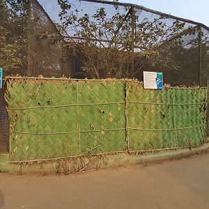 Common Marmoset Exhibit - January 2023