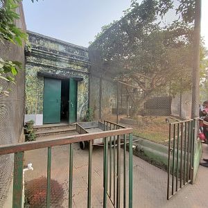 Bird Backstage Door - January 2023