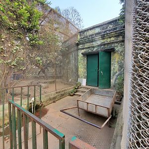 Bird Backstage Door - January 2023