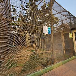 Lesser Adjutant Exhibit - January 2023