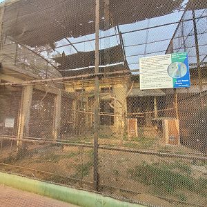 Blue and Yellow Macaw Exhibit  - January 2023