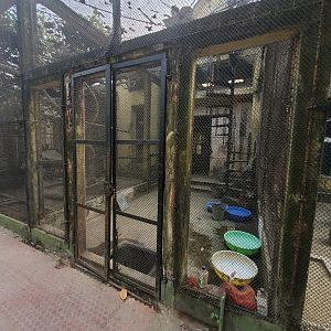 Bird Backstage - January 2023