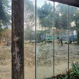 Jaguar Exhibit - January 2023