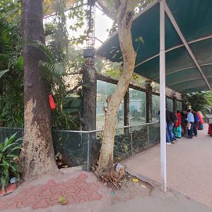 Jaguar Exhibit Viewing Area - January 2023