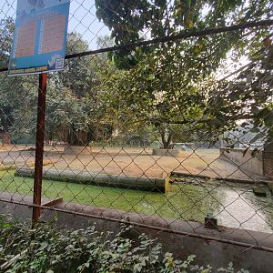 Indian Rhinoceros Exhibit - January 2023