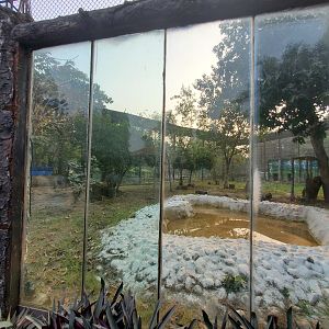 Indian Leopard Exhibit - January 2023