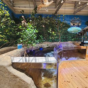 Marine Science Center - Estuary exhibit