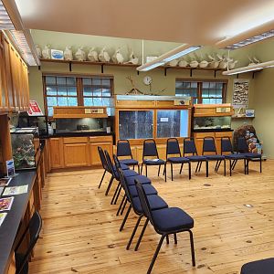 Marine Science Center - Reptile room + lab