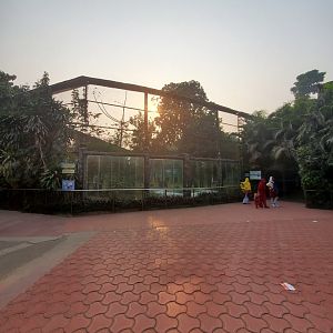 Indian Leopard Exhibit Overview - January 2023