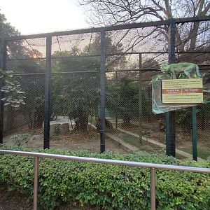 Jungle Cat Exhibit - January 2023