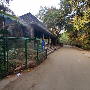 Bengal Tiger Viewing Area - January 2023