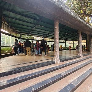 Bengal Tiger Exhibit Viewing Area - January 2023