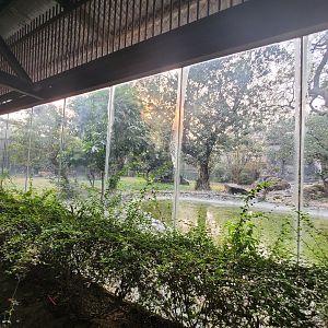 Bengal Tiger Exhibit - January 2023