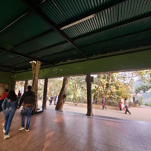 Bengal Tiger Exhibit Viewing Area - January 2023