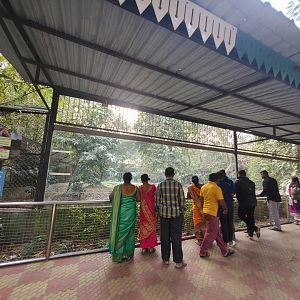 Striped Hyena Exhibit Viewing Area - January 2023