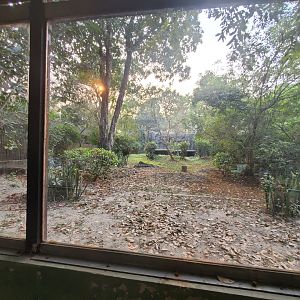 Striped Hyena Exhibit - January 2023