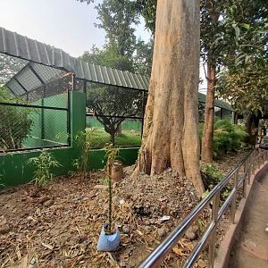 Canine Exhibit Barriers - January 2023