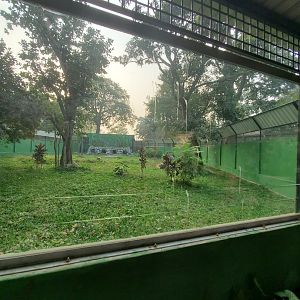 Dhole Exhibit - January 2023