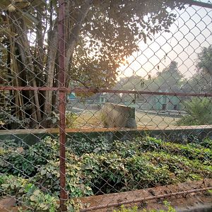 Hippopotamus Exhibit - January 2023