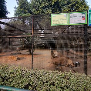 Emu Exhibit  - January 2023