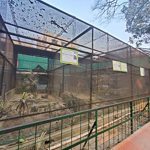 Java Sparrow Exhibit - January 2023