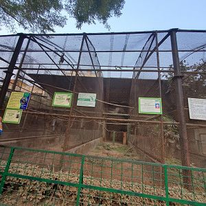 Great Indian Hornbill Exhibit + Mexican Red-Headed Amazon Exhibit - January 2023