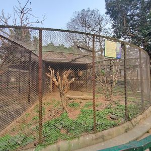 Turquoise Fronted Amazon Exhibit - January 2023