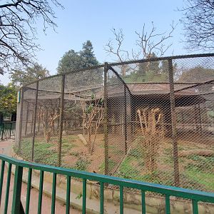 Turquoise Fronted Amazon Exhibit + Unknown Exhibit - January 2023