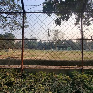 Indian Elephant Exhibit - January 2023