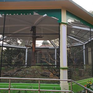 Green-Winged Macaw Exhibit - January 2023