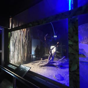 Empty Exhibit - January 2023