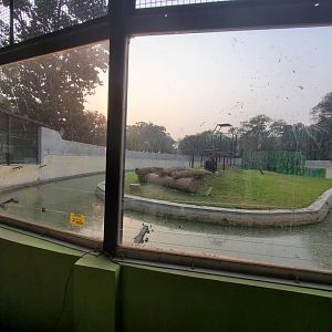 Chimpanzee Exhibit - January 2023