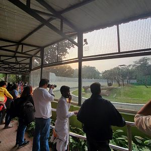 Chimpanzee Exhibit Viewing Area - January 2023