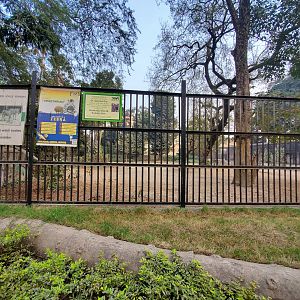 Burchell's (?) Zebra Exhibit - January 2023