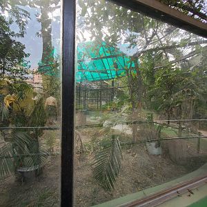 Bald Eagle Exhibit - January 2023