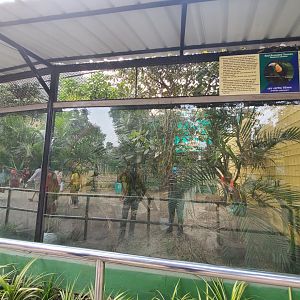 Red-Breasted Toucan Exhibit - January 2023