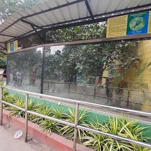 Laughing Kookaburra Exhibit - January 2023