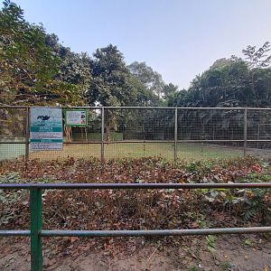 Ostrich Exhibit - January 2023