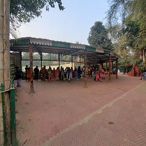 Chimpanzee Exhibit Viewing Area - January 2023