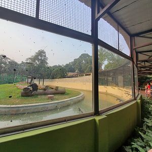 Chimpanzee Exhibit Viewing Area - January 2023