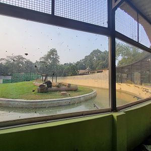 Chimpanzee Exhibit Viewing Area - January 2023