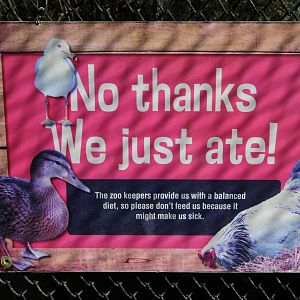 Signage for Walk-through Aviary
