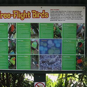 Signage for Walk-through Aviary