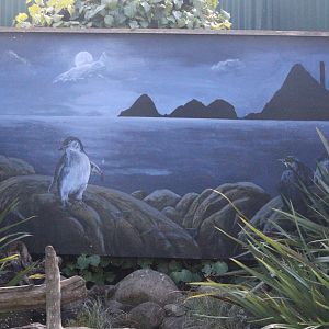 Mural of Little Blue Penguin