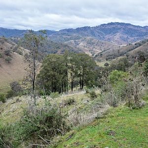 NSW mountain scenery