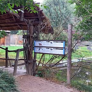 Antilope - Marabu enclosure