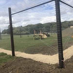 A View of Lion Enclosure