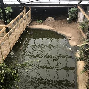 One of 2 American Alligator Enclosures