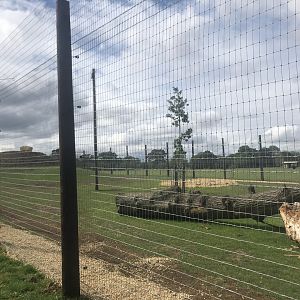 Other End of Lion Enclosure
