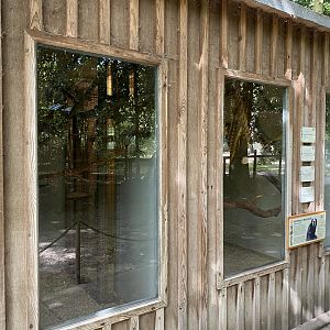 Amazona geoffroy house